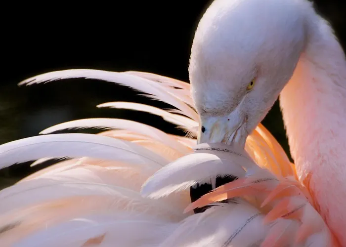 Sbarco Dei 1000 ベッド・アンド・ブレックファスト 4*