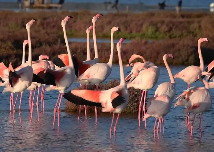 Sbarco Dei 1000 ベッド・アンド・ブレックファスト